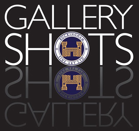 Gallery Shots - Shots of fine paintings, sculpture, fine art photography with commentary.